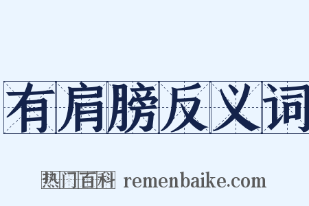 有肩膀反义词是什么意思的图片